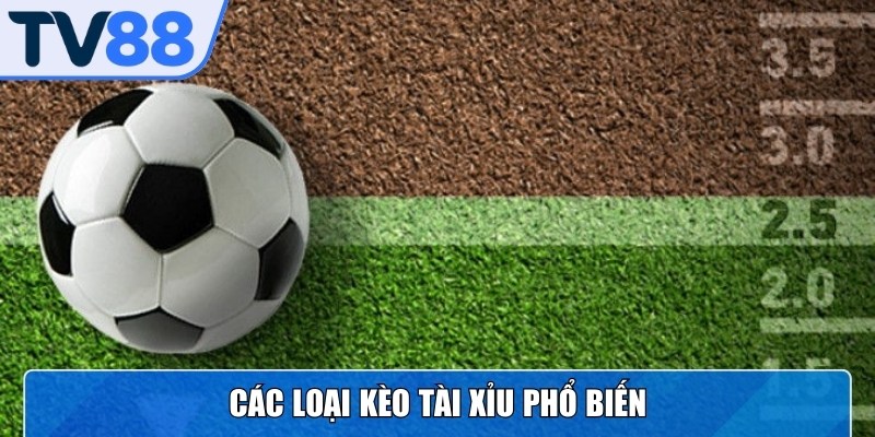 Các loại kèo Tài Xỉu phổ biến và cách đọc cụ thể