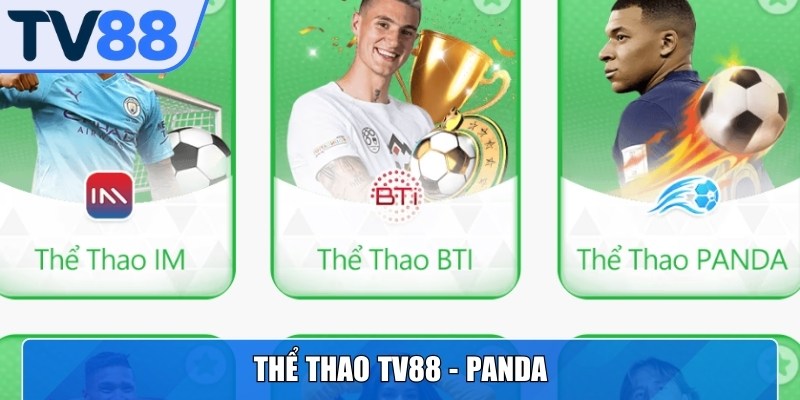 PANDA nổi bật với nền tảng ổn định, tốc độ xử lý mượt mà